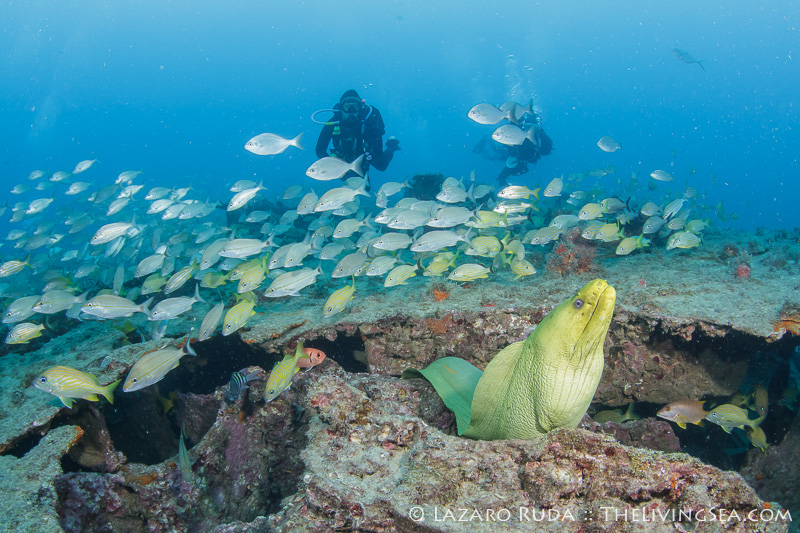 130105-105920-0064 130105-105920-0064